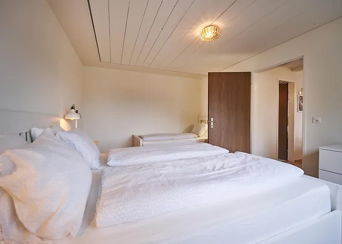 Switzerland Appartement *